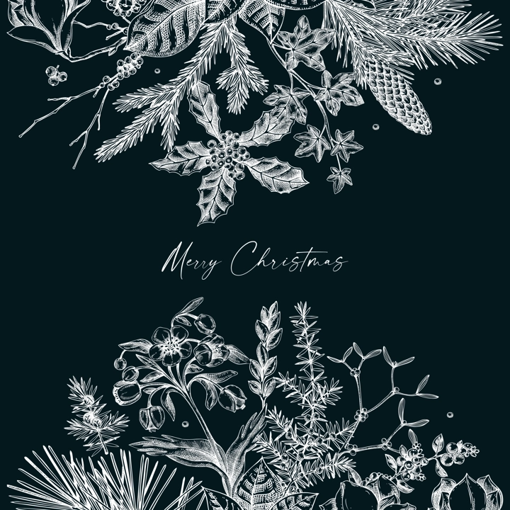 Merry Christmas card. Vintage frame with evergreen plants, conifers, and flower sketches on chalkboard. Hand-drawn botanical illustrations. NOT AI generated image